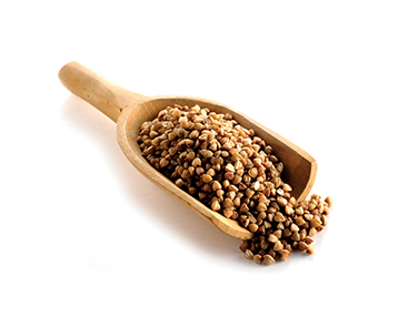 Buckwheat